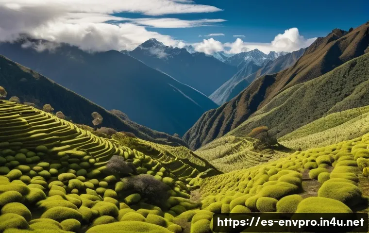 환경보호전문가 학술 논문 리뷰 - "A serene and majestic Andean landscape featuring a dense, ancient Polylepis forest. Indigenous peop...