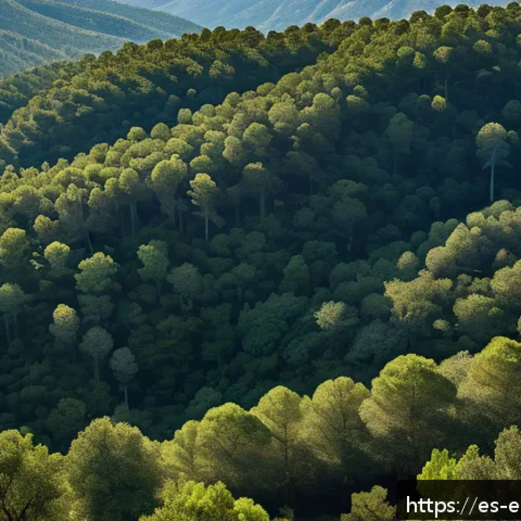 환경보호와 AI 기술 융합 사례 - A detailed aerial view of a lush Mediterranean forest in Spain equipped with a dense network of smar...