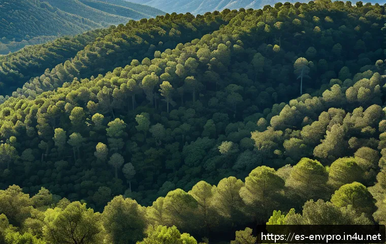 환경보호와 AI 기술 융합 사례 - A detailed aerial view of a lush Mediterranean forest in Spain equipped with a dense network of smar...